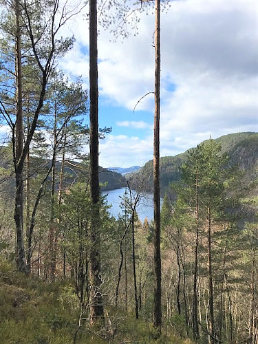 Utsikt over Slåttevatnet