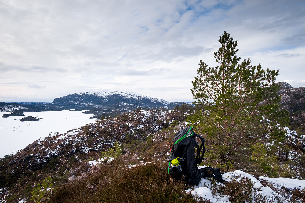 Utsikt fra Langåsane