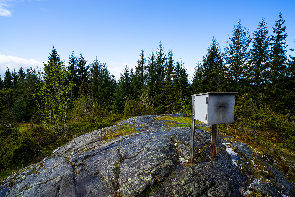 Toppen av Lyngfjellet
