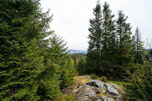 Utsikt fra toppen av Lyngfjellet