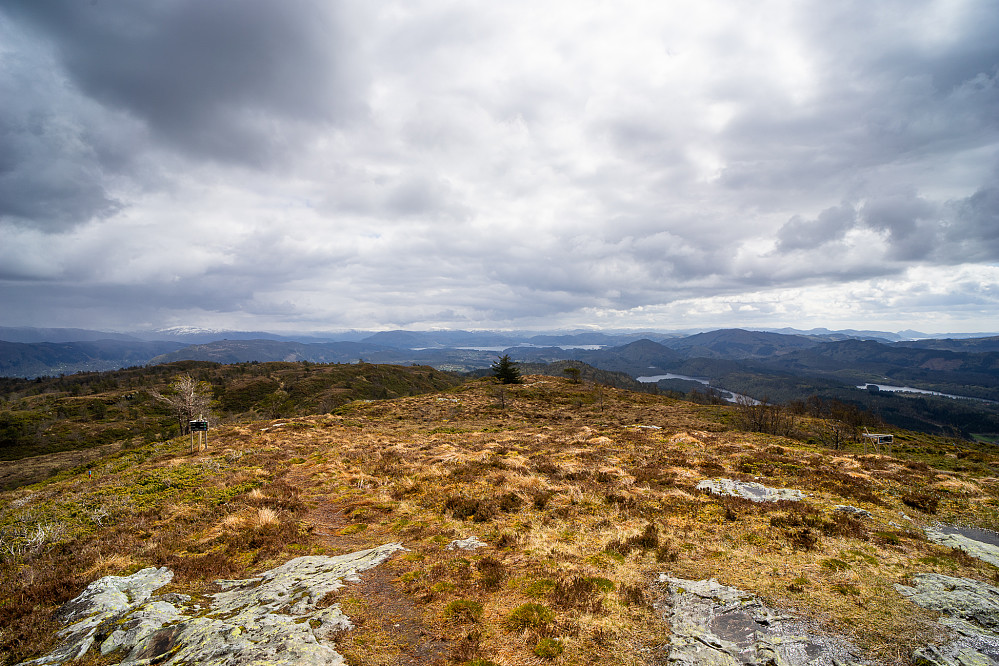 Utsikt fra Selifjellet