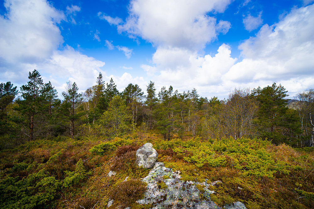 Toppen av Grimstadfjellet