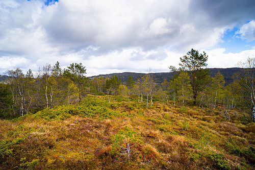 Utsikt fra Grimstadfjellet