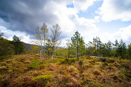 Utsikt fra Grimstadfjellet