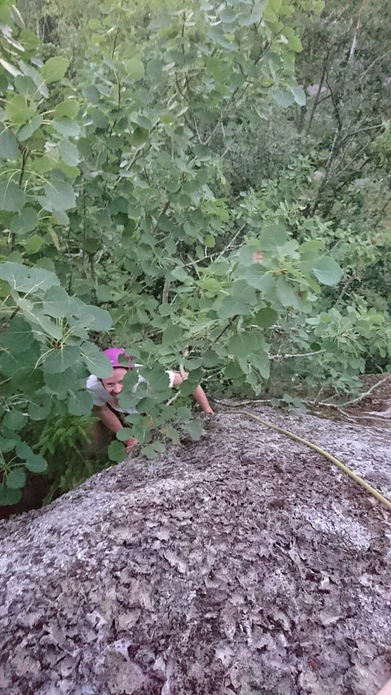 Bjørn Ole toppar ut Rop om hjelp, og får eit nærblikk på edellauvskogen