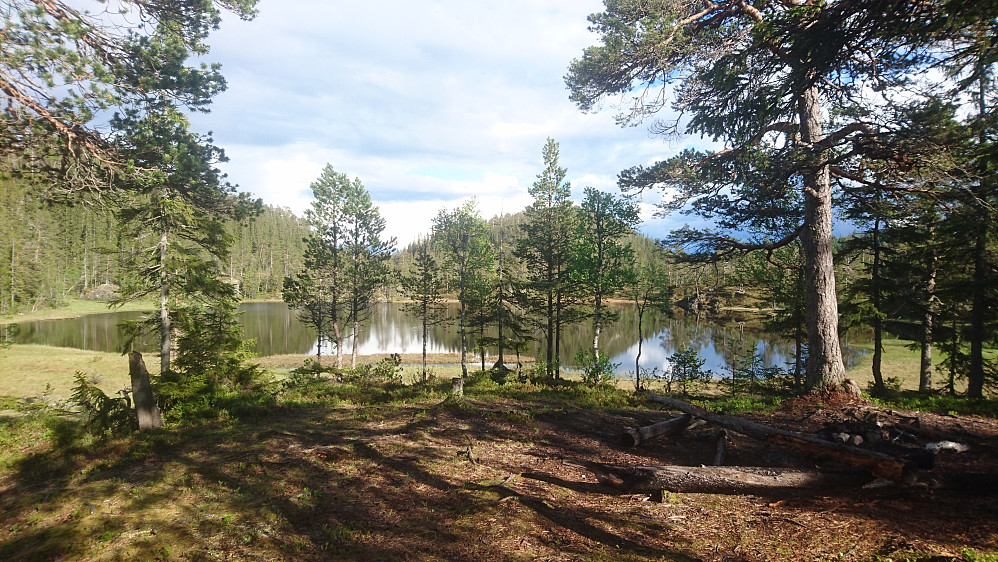 Skau-idyll på Ner Bjønstadtjønni. Like før Lars Monsen dukkar opp med bikkjer, kano og Trine Rein på stereoen.