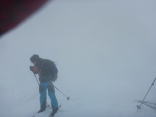 Ufyselige greier. Lite folk å sjå. Vi såg nesten ikkje kvarandre ein gong. Bedre kan det ikkje bli, som ein seier i Nordfjord.