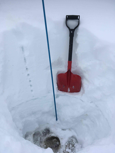 Snøprofil