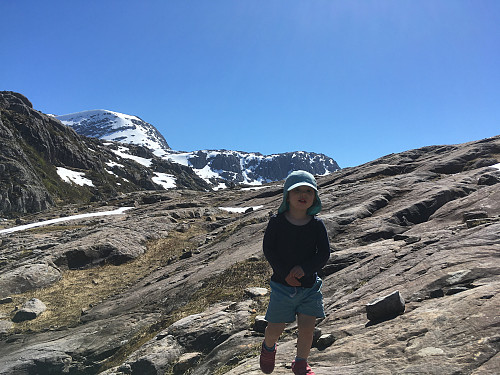 Fjellet kallar, Pappa. Eg må gå.
