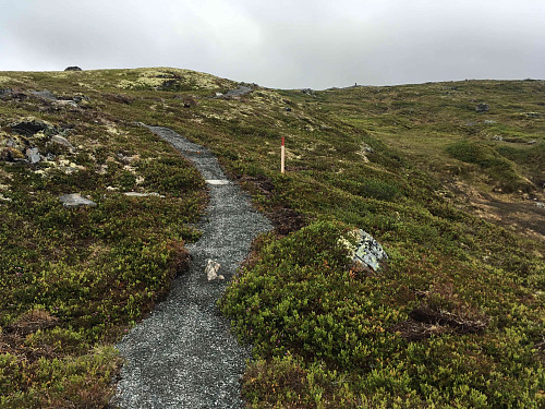 Altså, dette her er verdt å tenke over. Norsk friluftstradisjon er i endring, og tilrettelegging er eit stadig vanligagre innslag. No er jo dette rett ved Hoven, men det er mange kilometer med grusa sti på snaufjellet her. På den eine sida er det positivt at fleire kjem seg ut, men på den andre sida så er stadig meir av norsk natur utsett for inngrep. Det er ikkje sjølvsagt at folk som nyttar den tilrettelagte naturen får eit nærare forhold til natur, sjølv om det sikkert gjeld nokon. Det kan like gjerne bety at fleire stiller krav til meir tilrettelegging, og då er karusellen i gang. Vi har sikkert plass til begge deler om vi er forsiktige, men det krevjer ei streng regulering av naturområda - noko som eg er litt i tvil om at vi er i stand til her på berget. For meg så kunne gjerne området rundt Hoven vorte eit turistreservat, og så kunne ein spart resten av fjellområda rundt. Men det er nok neppe det som kjem til å skje.