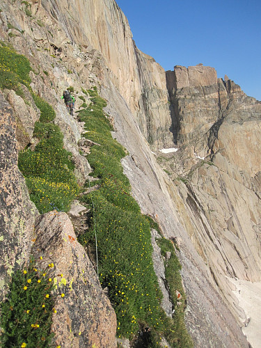 On broadway, enjoying the rich alpine flora and fauna. I even got checked out by a hummingbird while belaying.