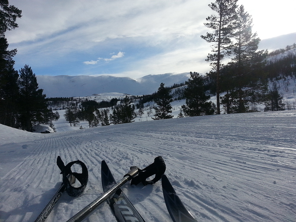 Fine forhold i Gjesdalen