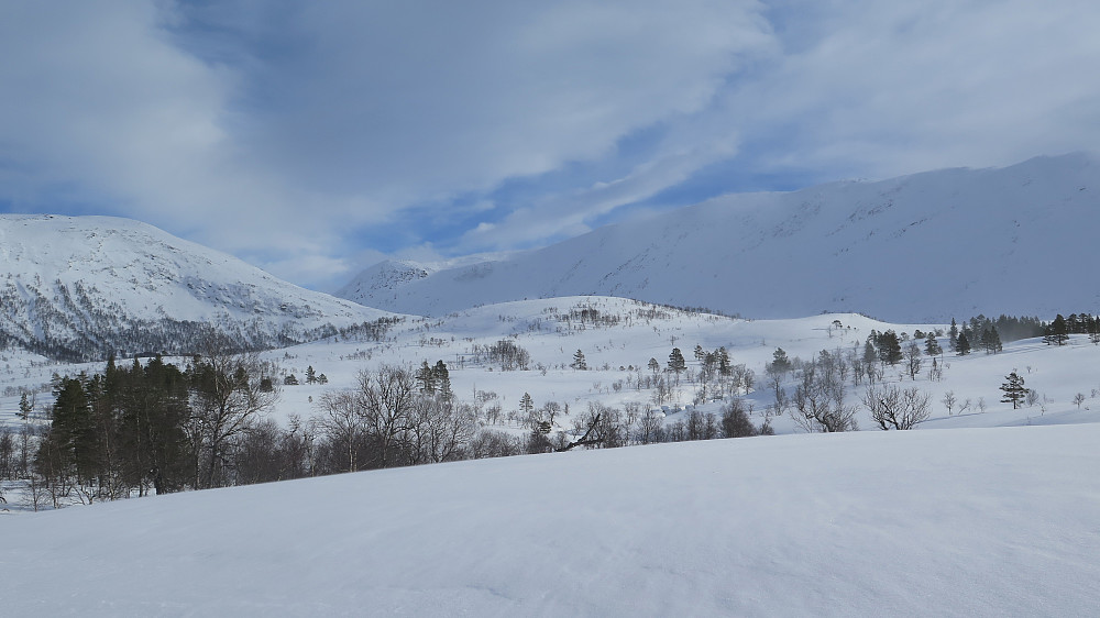 Storehogen midt i Gjesdalen