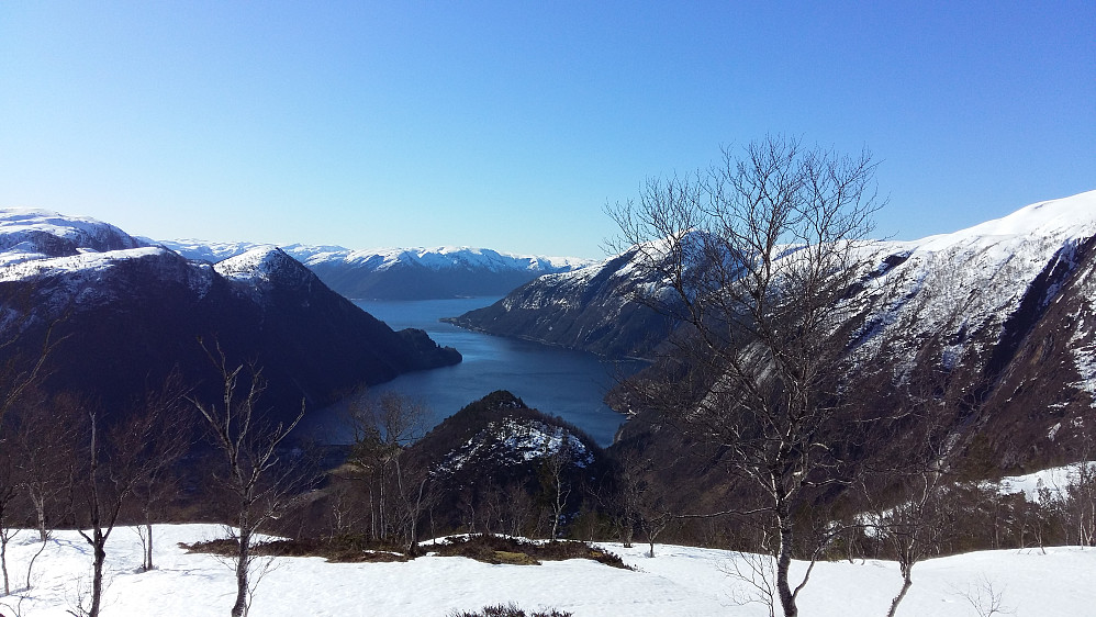 Frå Øygardsfjellet og mot den skogkledde Kletten 305 moh. Nydeleg utsikt mot Sognefjorden/Vadheim