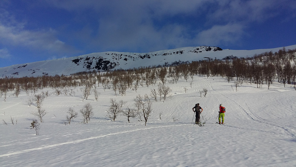 Mot Kvamsfjellet 1034 moh