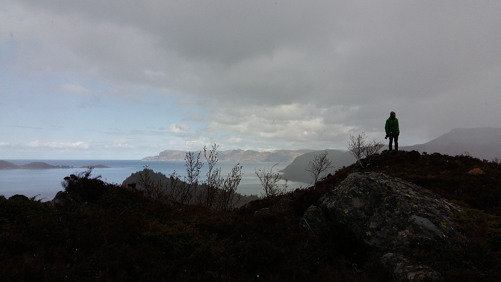 Høgste punkt på Venøya