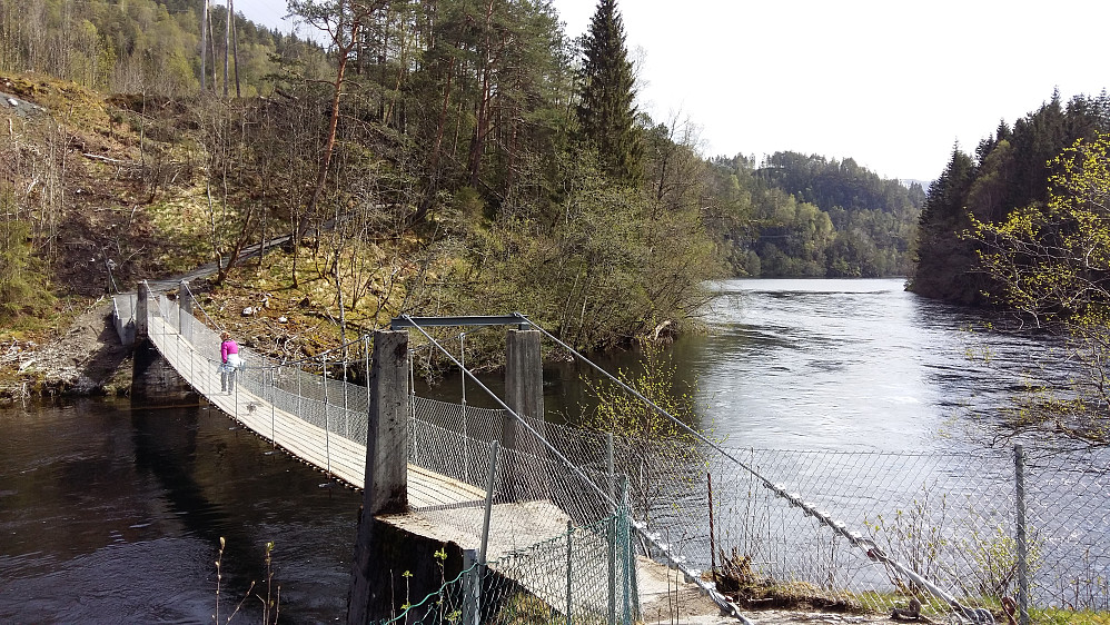 Hengebrua ved Vie