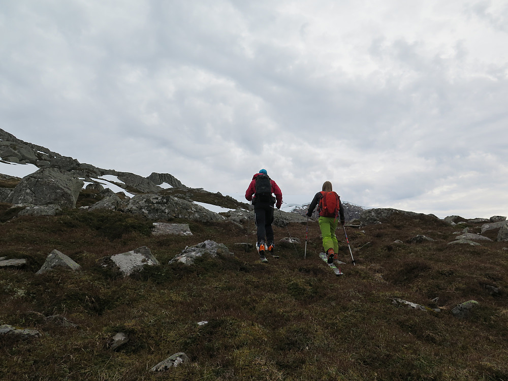 Litt ymse med snøfelta....men betring på 600 moh