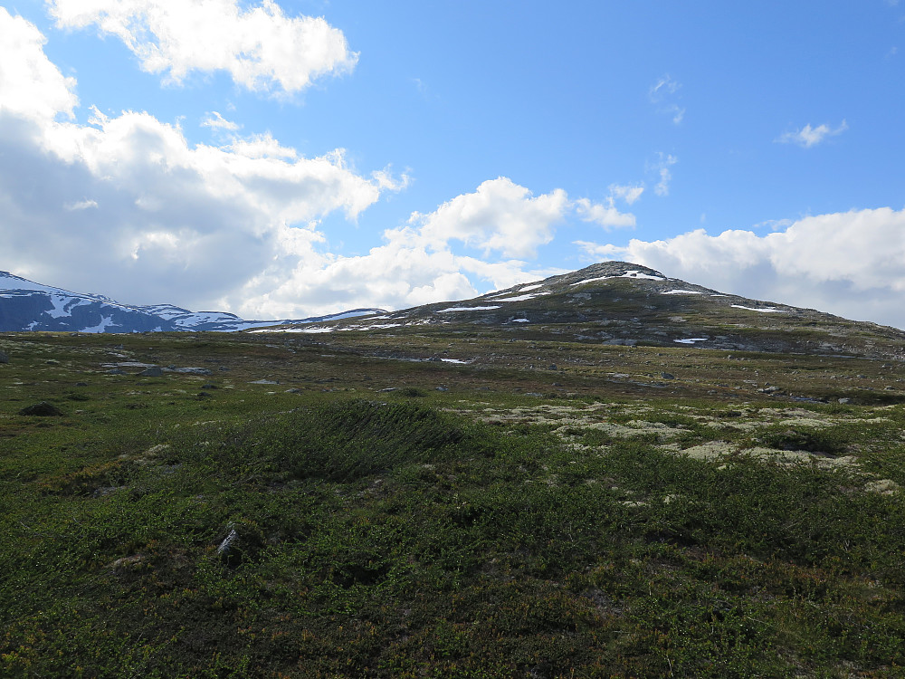 Mot Kovåhøa 1309 moh