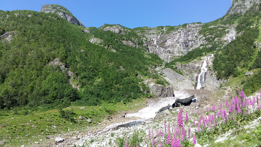 Frodig og idyllisk