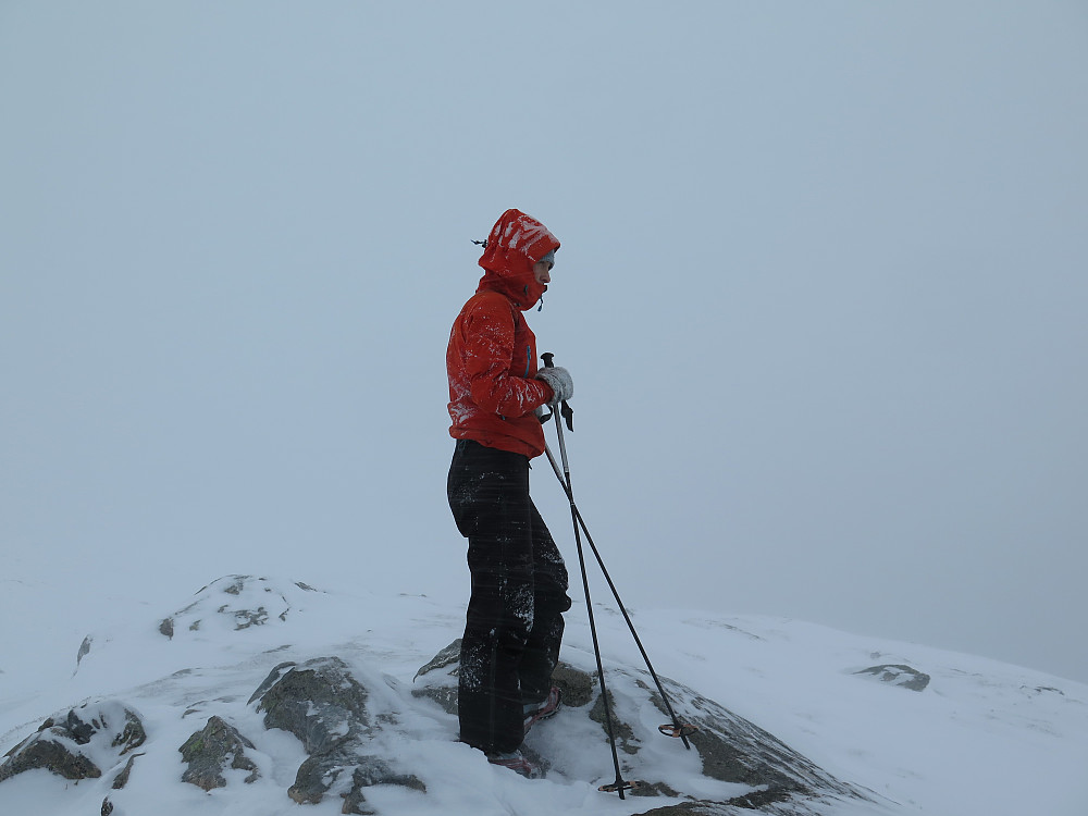 Rufsete på toppen av Eikåsnipa idag...men det snøer :)