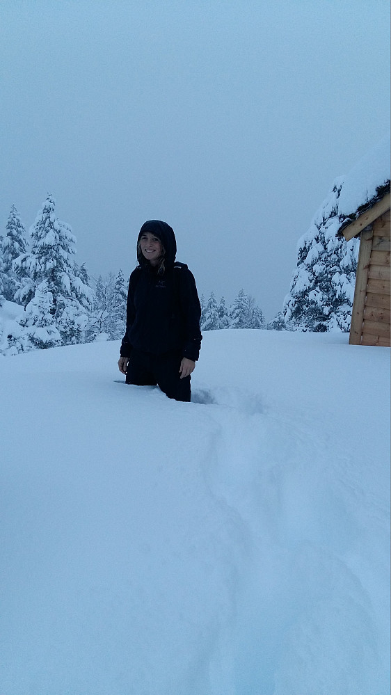 Komt bra med snø...men fint ellers å gå i traktorspora opp til støylen