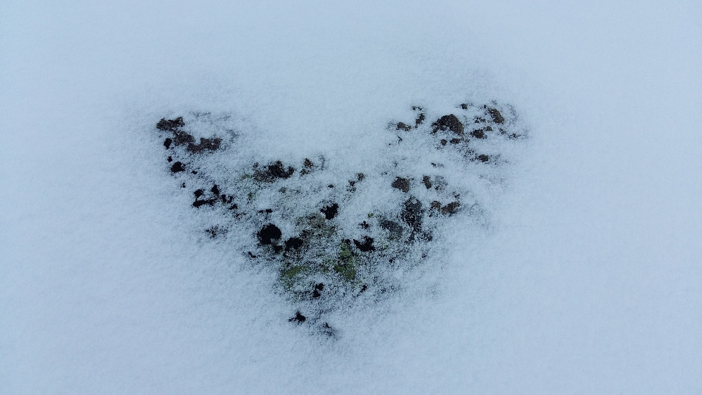 Mykje naturleg vakkert i naturen!