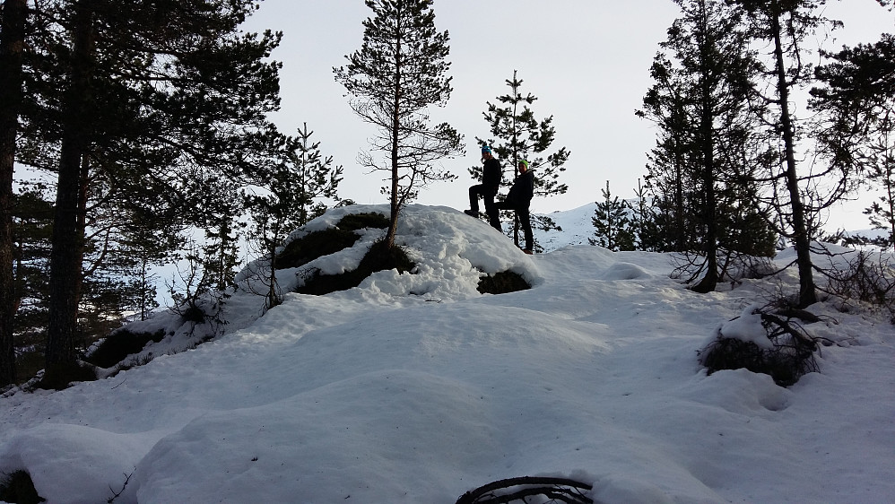 Bestigning av Holten 333 moh