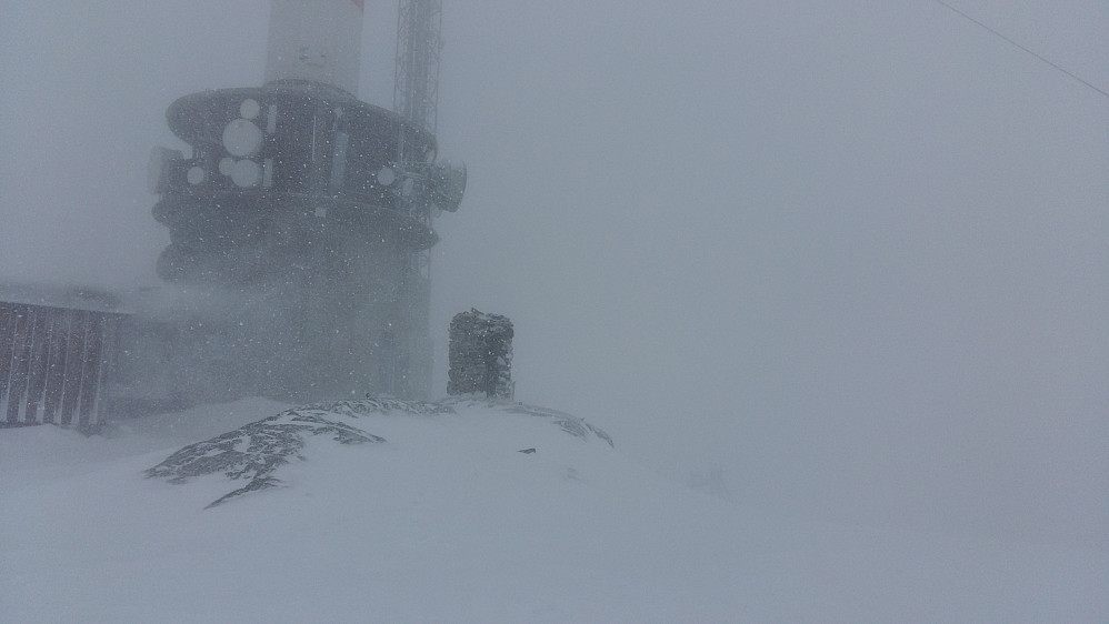 Friskt på Hafstadfjellet