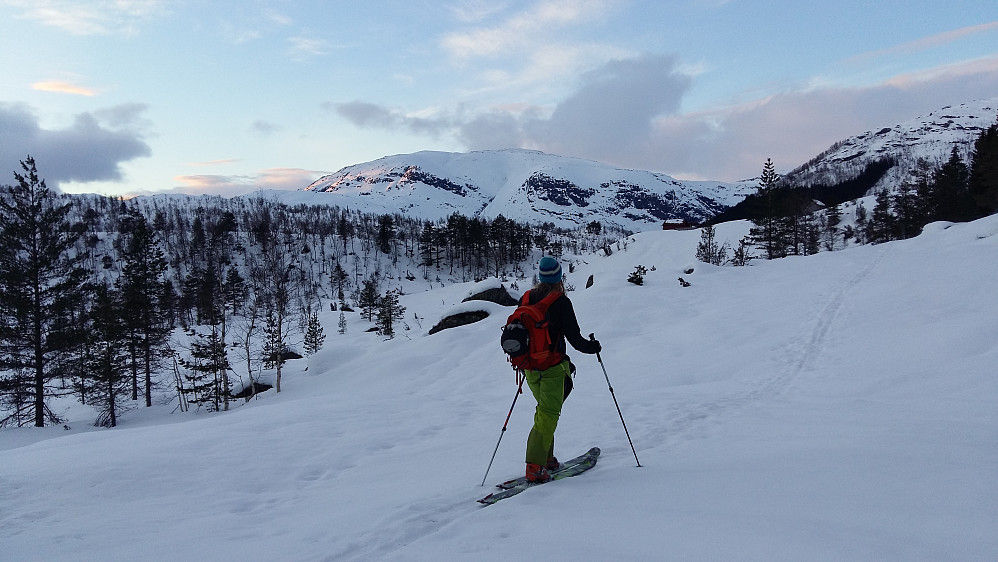 Passert Flugestøylane 