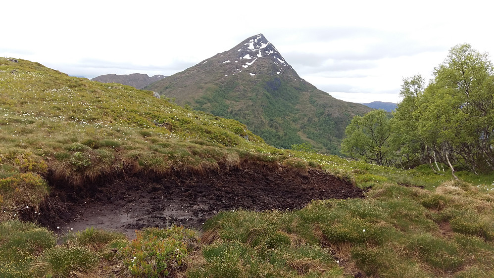 Mot Sanvikshornet 876 moh