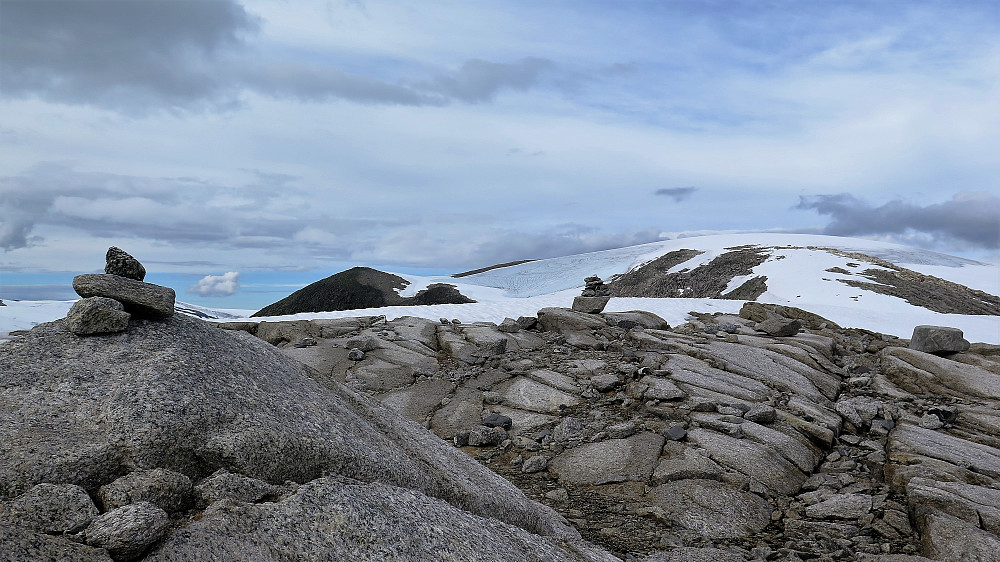 Ifrå Hovdeskrednibba 1544 m mot 1731 m