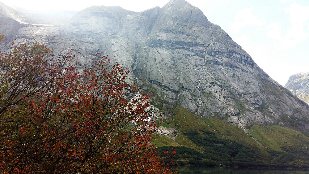 Lunde i Kjøsnesfjorden