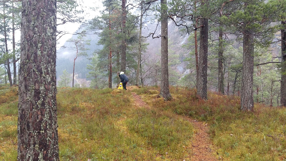 På konglejakt til juleverkstad!