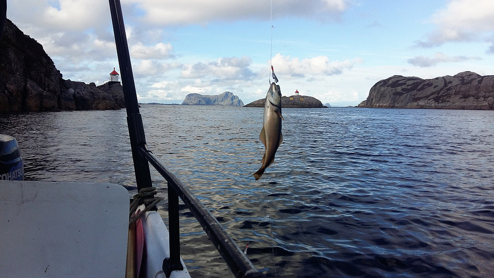Litt fiskelykke...Men sant skal seiast at bildet taler fiskens favør :) Men den fikk friheita...
