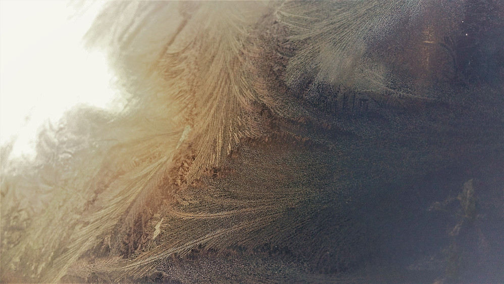 Dagens sol og rimfrost!