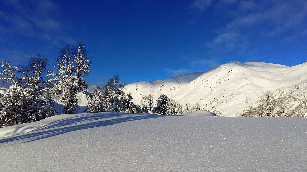 Mot Kvitsvornipa/Sølvet