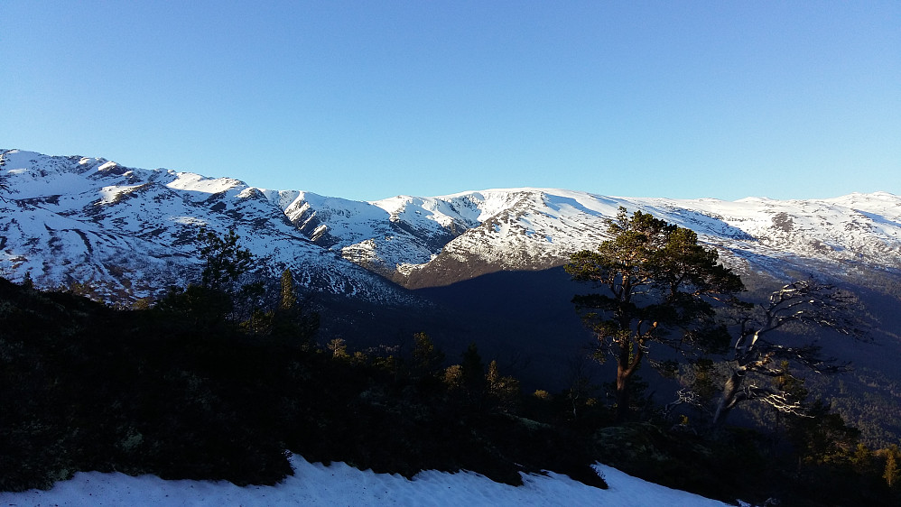 Ifrå Arnestadfjellet 721 