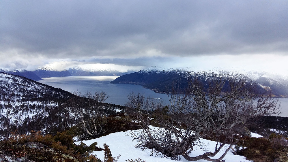 Ifrå Kvitenjuk 752 moh mot Sognefjorden