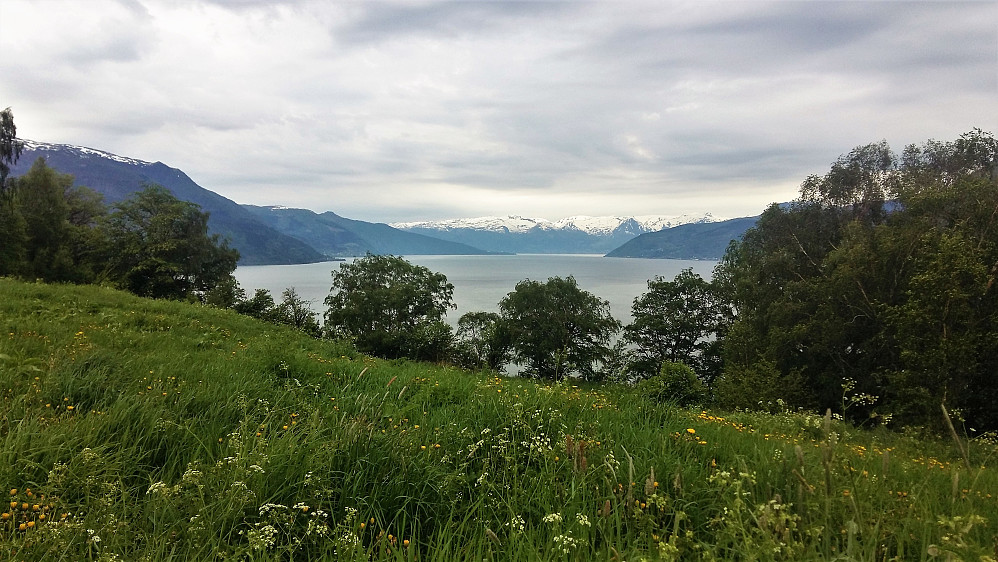 Hærleg sommerfølelse
