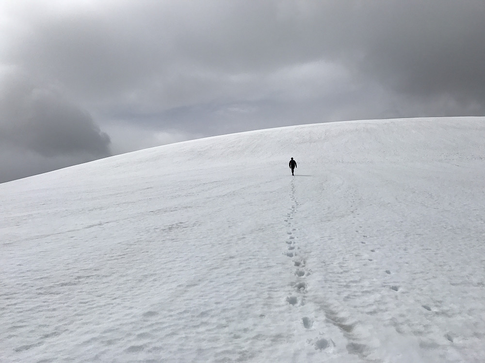 Mot Karifjellet 1320 moh