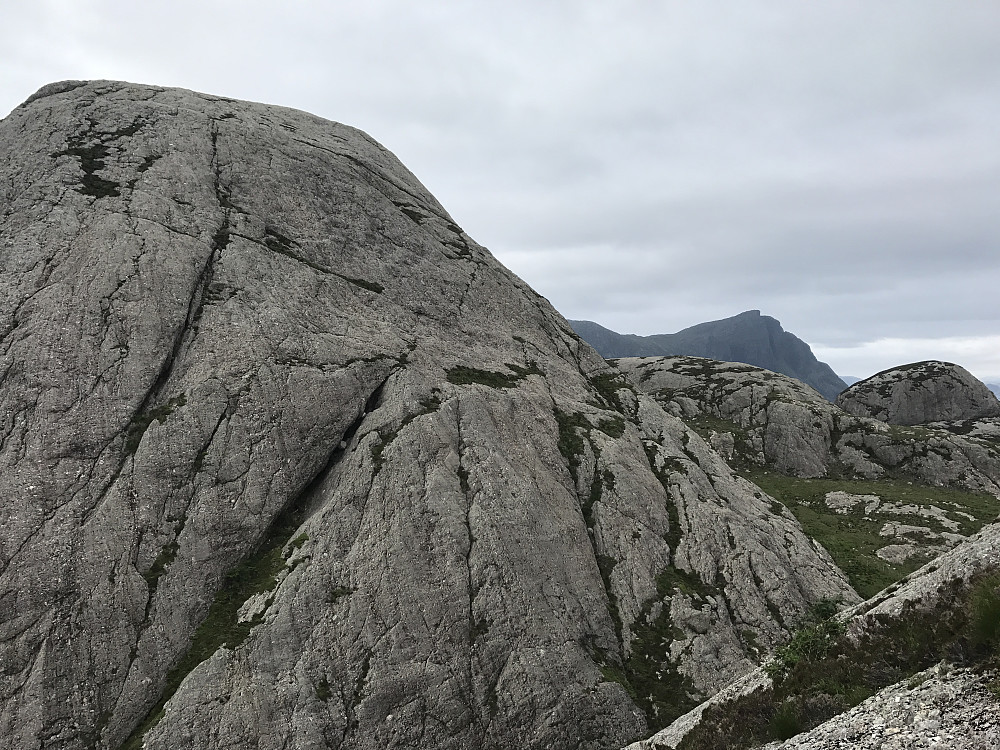 Alden i bakgrunn