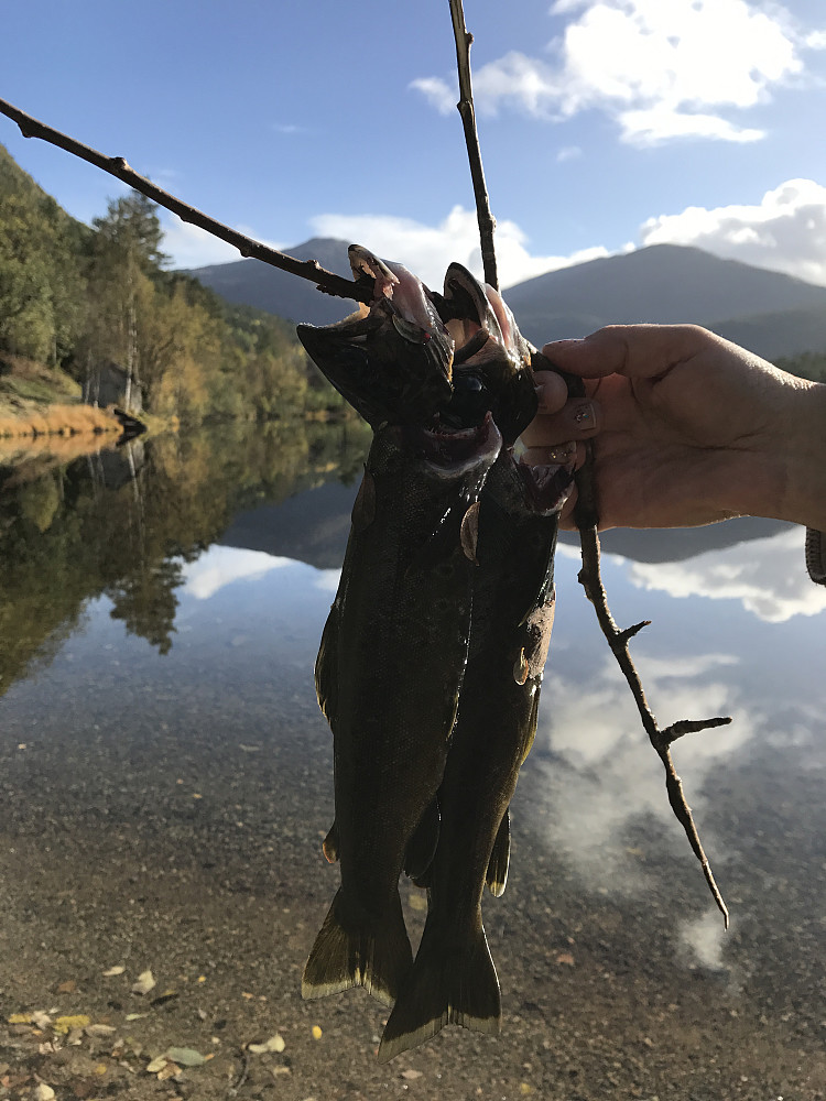 Ikkje min fangst! Men eg sette stor pris på å få den... av ein av mine! 