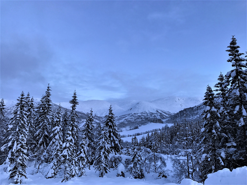 Vinterland i Dvergsdalen mot Grovabreen/Jølster