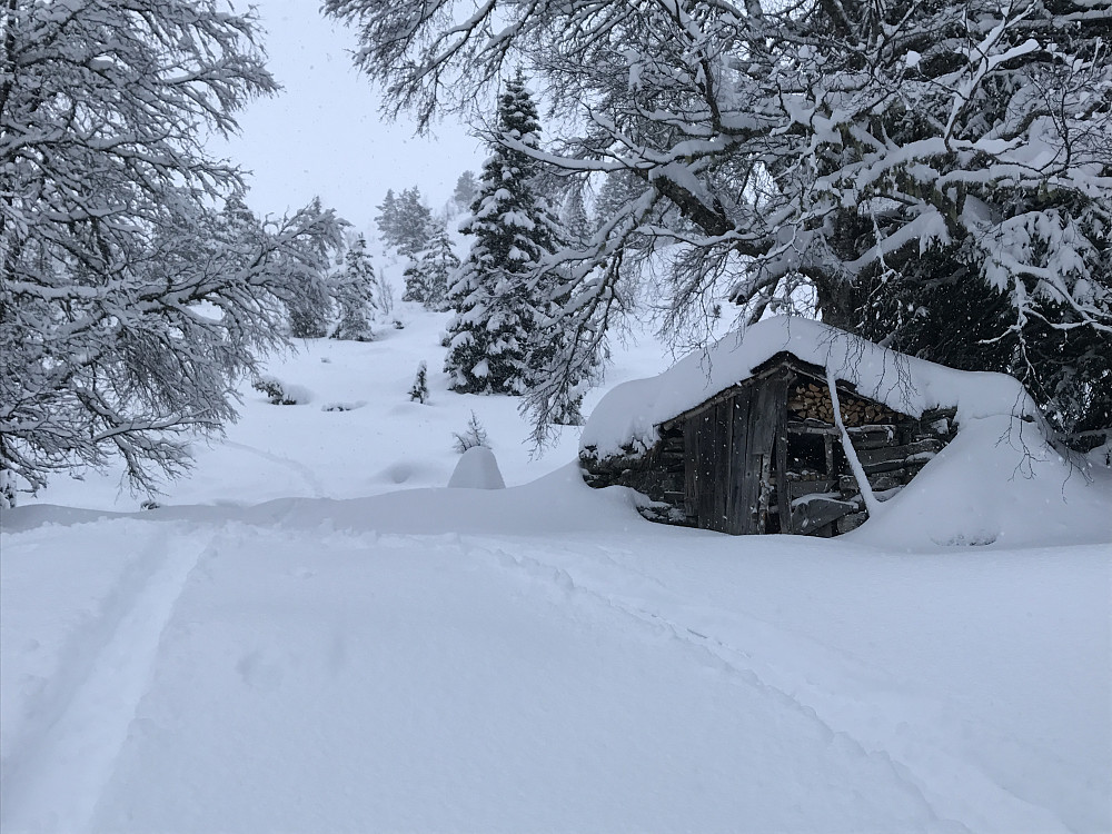 Fantastisk puddersnø til toppen :)
