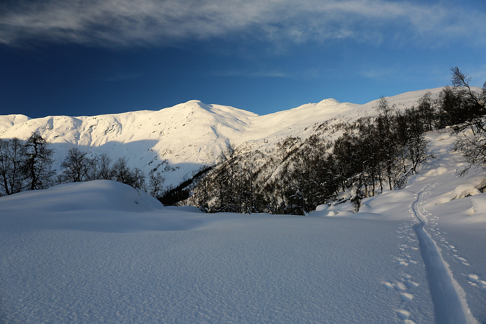 Mot Kvitsvornipa,Trolla og Blåfjellet