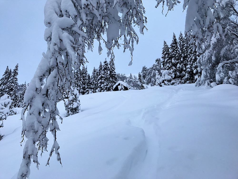 Julekortstemning på Uppstunstøylen