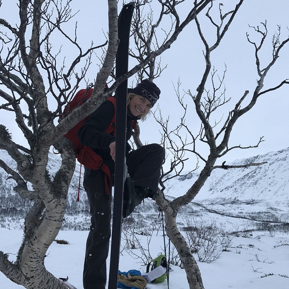 Unngjekk i alle fall diskvalifisering :)