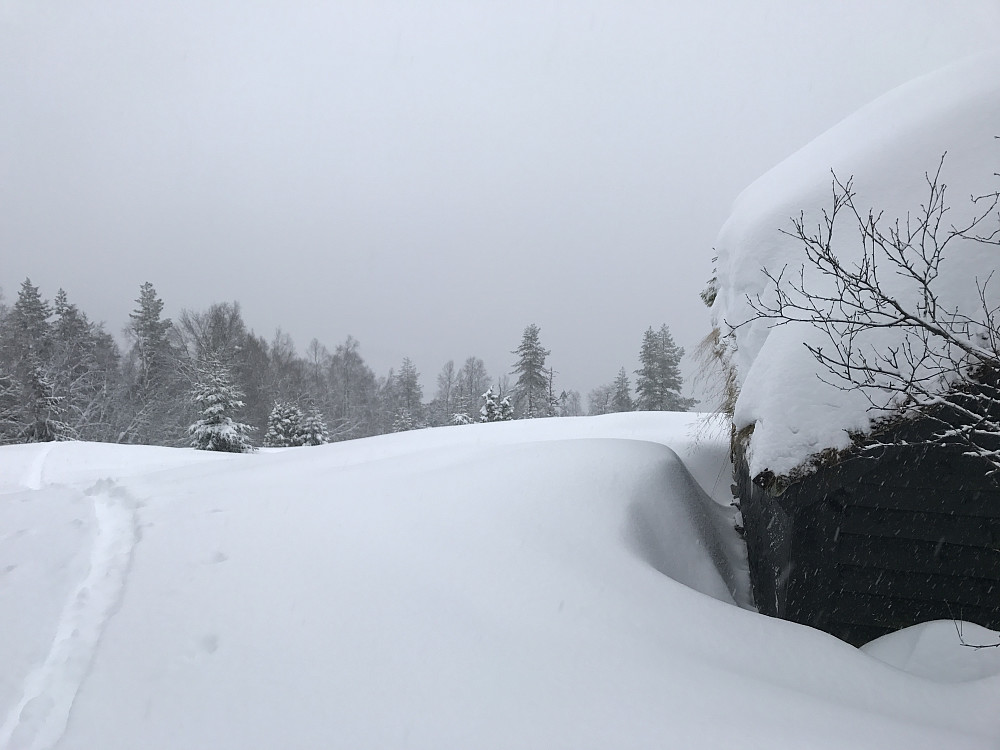 40 cm nysnø :) 