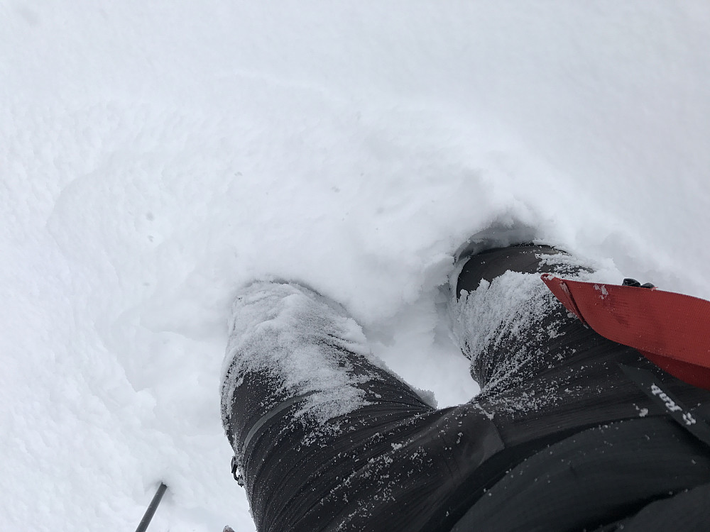 40 cm nysnø :) For mykje av det gode, når ein må stake seg nedover...Men, så utruleg hærleg er det likevel :) 